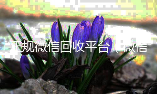 正规微信回收收vx平台（微信回收正规官网）